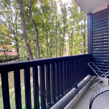 Paradise Complex * بريمورسكو