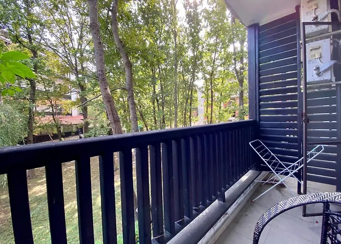 Paradise Complex * プリモルスコ